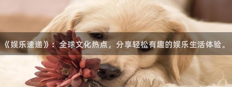 先锋娱乐公司：《娱乐速递》：全球文化热点，分享轻松有趣的娱乐生活体验。