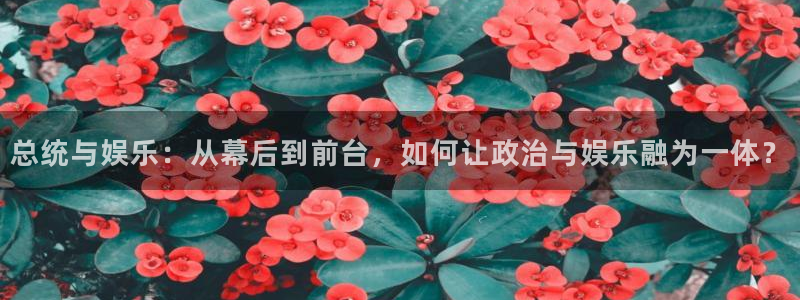 先锋娱乐公司：总统与娱乐：从幕后到前台，如何让政治与娱乐融为一体？