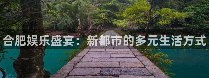 先锋娱乐平台：合肥娱乐盛宴：新都市的多元生活方式