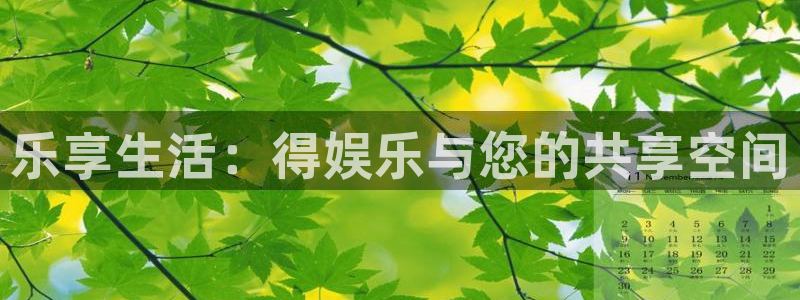 先锋娱乐平台：乐享生活：得娱乐与您的共享空间