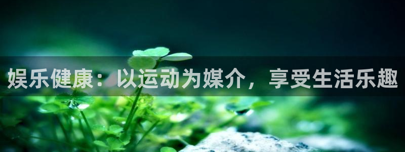 先锋娱乐公司：娱乐健康：以运动为媒介，享受生活乐趣