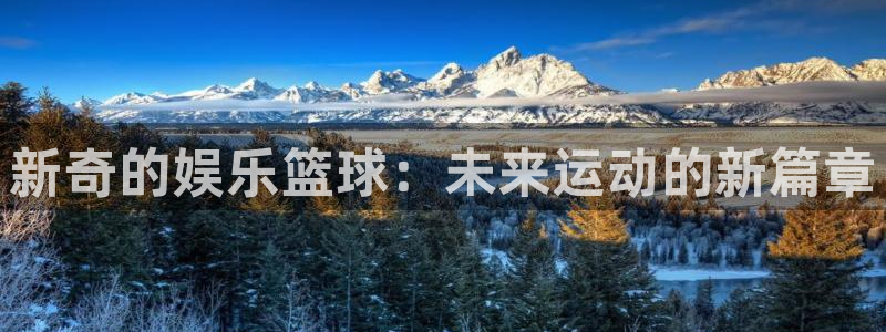 先锋娱乐平台：新奇的娱乐篮球：未来运动的新篇章
