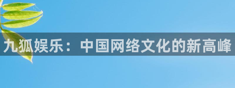 先锋娱乐公司：九狐娱乐：中国网络文化的新高峰