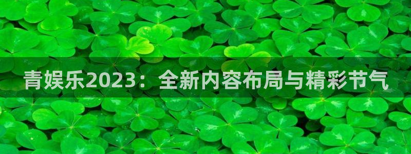 先锋娱乐公司：青娱乐2023：全新内容布局与精彩节气